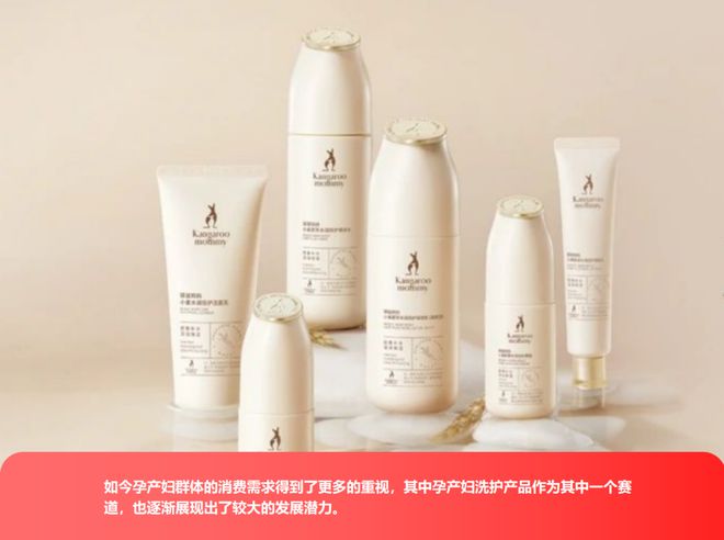 ereden看孕产洗护市场的潜力挖掘CQ9电子游戏平台从兔头妈妈到Ev(图4)